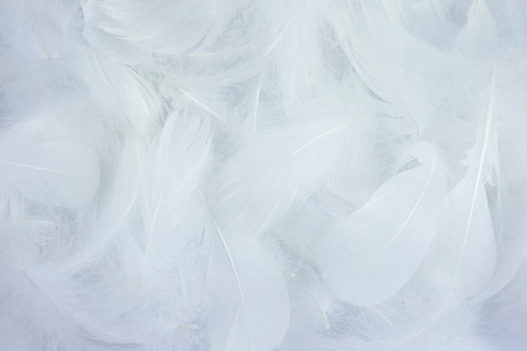Feather Collection - SuperStar Bedding