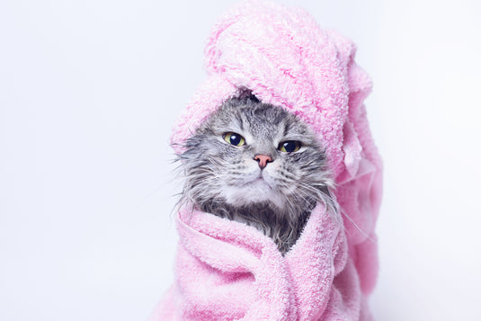 Soft towels, fluffy towels,